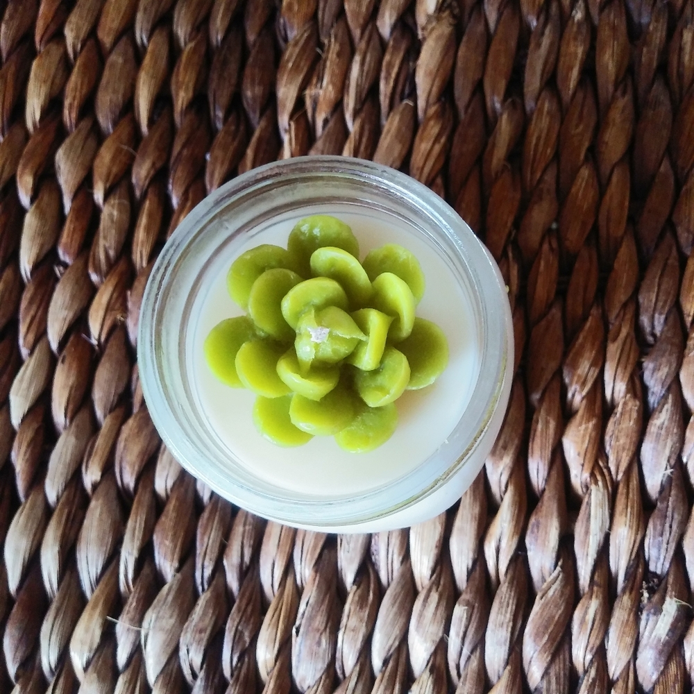 Handmade Fragranced Succulent Soy Candle 7 oz - Picture 5 of 6